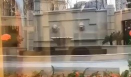 维也纳小区最新爆料大同,大同神秘事件真相揭晓